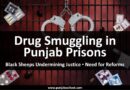 ਨਸ਼ੀਲੇ ਪਦਾਰਥਾਂ ਦੀ ਤਸਕਰੀ, ਕਾਲੀਆਂ ਭੇਡਾਂ ਅਤੇ ਪੰਜਾਬ ਦੀਆਂ ਜੇਲ੍ਹਾਂ