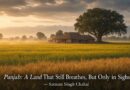 ਪੰਜਾਬ: ਇੱਕ ਅਜਿਹੀ ਧਰਤੀ ਜੋ ਅਜੇ ਵੀ ਸਾਹ ਲੈਂਦੀ ਹੈ, ਪਰ ਸਿਰਫ਼ ਸਾਹਾਂ ਵਿੱਚ-– ਸਤਨਾਮ ਸਿੰਘ ਚਾਹਲ