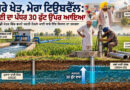 ਮੇਰੇ ਖੇਤ, ਮੇਰਾ ਟਿਊਬਵੈੱਲ: ਪਾਣੀ ਦਾ ਪੱਧਰ 30 ਫੁੱਟ ਉੱਪਰ ਆਇਆ-ਗੁਰਪ੍ਰਤਾਪ ਸਿੰਘ ਮਾਨ